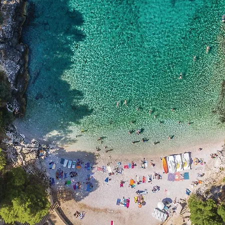 Apartment In With Kitchen